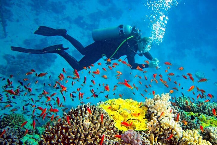 scuba diving trincomalee